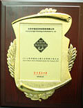 “2008中国嵌入式系统十佳企业”奖牌