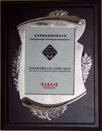 “2008中国嵌入式系统十佳企业”奖牌